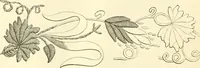 An illustration from Needle-craft: artistic and practical (1889)