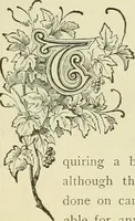 An illustration from Needle-craft: artistic and practical (1889)