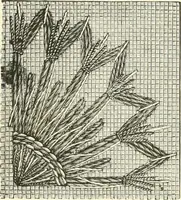 An illustration from Needle-craft: artistic and practical (1889)