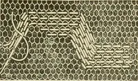 An illustration from Needle-craft: artistic and practical (1889)