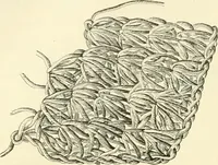 An illustration from Needle-craft: artistic and practical (1889)