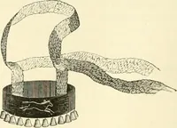 An illustration from Needle-craft: artistic and practical (1889)