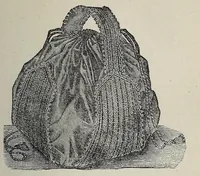An illustration from Needles and brushes, and how to use them; a manual of fancy work (1887)