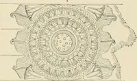 An illustration from Needlework as art (1886)
