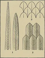 An illustration from Needlework as art (1886)