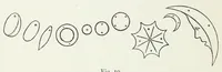 Picture 9 of 19 from Needlework as art (1886), leaf 246