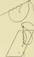 An illustration from Needlework without "specimens": the modern book of school needlework (1900)