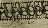 An illustration from Needlework without "specimens": the modern book of school needlework (1900)