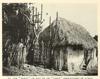 An illustration from The Negro in the New world (1910)