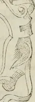 An illustration from Nel condurre la solenne processione del Santissimo Sacramento della chiesa parochiale di S. Maria Mascharella, la Veneranda Compagnia di Sa[n]ta Maria Maddalena (1627)