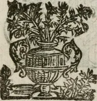 An illustration from Nel condurre la solenne processione del Santissimo Sacramento della chiesa parochiale di S. Maria Mascharella, la Veneranda Compagnia di Sa[n]ta Maria Maddalena (1627)