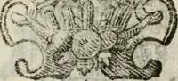 An illustration from Nel condurre la solenne processione del Santissimo Sacramento della chiesa parochiale di S. Maria Mascharella, la Veneranda Compagnia di Sa[n]ta Maria Maddalena (1627)