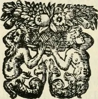 An illustration from Apparato della festività del glorioso S. Giouan Battista : fatto dal fedelisimo popolo napolitano nella venuta dell'Eccellenza del sig. d. Antonio Aluarez di Toledo, vicere nel regno (1623)