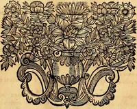 An illustration from Nervus opticus sive tractatus theoricus in tres libros opticam, catoptricam, dioptricam distributus : in quibus radiorum â lumine, vel objecto per medium diaphanum processus, natura, proprietates, & effectus, selectis, & rarioribus experientijs, figuris, demonstrationibusque exhibentur (1675)
