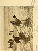 An illustration from The Netherland galleries : being a history of the Dutch school of painting, illuminated and demonstrated by critical descriptions of the great paintings in the many galleries (1912)