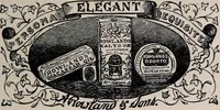 An illustration from The netting book for guipure d'art, &c.. (1879)
