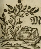 An illustration from Neue alchymistische Bibliothek für den Naturkundiger unsers Jahrhunderts (1772)