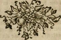 An illustration from Neue alchymistische Bibliothek für den Naturkundiger unsers Jahrhunderts (1772)
