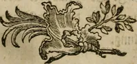 An illustration from Neue alchymistische Bibliothek für den Naturkundiger unsers Jahrhunderts (1772)