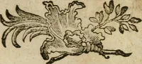 Picture 15 of 35 from Neue alchymistische Bibliothek für den Naturkundiger unsers Jahrhunderts (1772), leaf 626