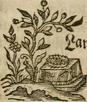 Picture 17 of 35 from Neue alchymistische Bibliothek für den Naturkundiger unsers Jahrhunderts (1772), leaf 628