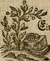 An illustration from Neue alchymistische Bibliothek für den Naturkundiger unsers Jahrhunderts (1772)