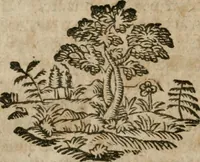 An illustration from Neue alchymistische Bibliothek für den Naturkundiger unsers Jahrhunderts (1772)