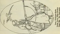 An illustration from Neue deutsche Buchillustration (1915)