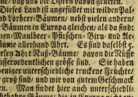 An illustration from Neue Entdeckung vieler sehr grossen Landschafften in America zwischen Neu-Mexico und dem Eyss-Meer gelegen, welche bisshero denen Europäern noch unbekand gewesen, und an Grösse gantz Europa übertreffen. : Wie auch eine völlige Beschreibung des erschrecklichen Wasser-Falles von Niagara, welcher der grösseste in der gantzen Welt ist, und des grossen Flusses Meschasipi, so in einer Länge son 800. Reissen durch diese Länder fliesset, nemlich von dessen Uhrsprung biss zu seiner Ergiessung in den Golff von Mexico[.] Imgleichen der wilden Einwohner barbarischen Manieren und Lebens-Ahrt, sambt vielen Seltenheiten. Sr. Gross-Brittannis. Maj. Wilhelm dem III. in Frantzösis. Sprache überreichet und beschrieben von R.P. Ludovy. (1699)