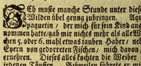 An illustration from Neue Entdeckung vieler sehr grossen Landschafften in America zwischen Neu-Mexico und dem Eyss-Meer gelegen, welche bisshero denen Europäern noch unbekand gewesen, und an Grösse gantz Europa übertreffen. : Wie auch eine völlige Beschreibung des erschrecklichen Wasser-Falles von Niagara, welcher der grösseste in der gantzen Welt ist, und des grossen Flusses Meschasipi, so in einer Länge son 800. Reissen durch diese Länder fliesset, nemlich von dessen Uhrsprung biss zu seiner Ergiessung in den Golff von Mexico[.] Imgleichen der wilden Einwohner barbarischen Manieren und Lebens-Ahrt, sambt vielen Seltenheiten. Sr. Gross-Brittannis. Maj. Wilhelm dem III. in Frantzösis. Sprache überreichet und beschrieben von R.P. Ludovy. (1699)
