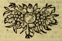 An illustration from Neue Entdeckung vieler sehr grossen Landschafften in America zwischen Neu-Mexico und dem Eyss-Meer gelegen, welche bisshero denen Europäern noch unbekand gewesen, und an Grösse gantz Europa übertreffen. : Wie auch eine völlige Beschreibung des erschrecklichen Wasser-Falles von Niagara, welcher der grösseste in der gantzen Welt ist, und des grossen Flusses Meschasipi, so in einer Länge son 800. Reissen durch diese Länder fliesset, nemlich von dessen Uhrsprung biss zu seiner Ergiessung in den Golff von Mexico[.] Imgleichen der wilden Einwohner barbarischen Manieren und Lebens-Ahrt, sambt vielen Seltenheiten. Sr. Gross-Brittannis. Maj. Wilhelm dem III. in Frantzösis. Sprache überreichet und beschrieben von R.P. Ludovy. (1699)