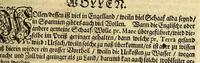 An illustration from Neu-eingerichtete Material-Kammer: : das ist, Gründliche Beschreibung aller fürnehmsten Materialien und Specereyen, so wohl auch andrer guter und gemeiner Waaren, woher solche den Ursprung nehmen, wie sie zu erkennen, gut zu behalten, und endlich die Prob derselben darauf zu machen, umb zu sehen, ob solche verfälscht und wie die Verfälschung darinnen zu mercken sey. Samt einer Erklärung: der chimischen, medicinischen, metallinischen, mineralischen und andere Characteren, was nehmlich solche für Bedeutungen insich halten. Wobey angehängt ein aussführlicher Bericht des Walfisch-Fanges in der nordischen Landen, dessgleichen niemals also in Teutscher Sprach beschrieben worden; und hernach eine kurtze Revision oder Wiederholung meines in An. 1662. aussgegangenen Buchhaltens, darinnen nicht allein meist alle Puncten besser erklärt und erläutert; sondern auch an vielen Orten vermehret, dazu ein und anders, welches vorhero nicht also beschrieben gewesen, anjetzo aber besser und deutlicher vorgestellet wird. Zuvor niemals also in Druck ausgegangen. Allen Liebhabern der Handlungen und Kauffmannschafften zum besten, mit guten Nutz und Frommen eingerichtet (1672)