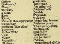 An illustration from Neu-eingerichtete Material-Kammer: : das ist, Gründliche Beschreibung aller fürnehmsten Materialien und Specereyen, so wohl auch andrer guter und gemeiner Waaren, woher solche den Ursprung nehmen, wie sie zu erkennen, gut zu behalten, und endlich die Prob derselben darauf zu machen, umb zu sehen, ob solche verfälscht und wie die Verfälschung darinnen zu mercken sey. Samt einer Erklärung: der chimischen, medicinischen, metallinischen, mineralischen und andere Characteren, was nehmlich solche für Bedeutungen insich halten. Wobey angehängt ein aussführlicher Bericht des Walfisch-Fanges in der nordischen Landen, dessgleichen niemals also in Teutscher Sprach beschrieben worden; und hernach eine kurtze Revision oder Wiederholung meines in An. 1662. aussgegangenen Buchhaltens, darinnen nicht allein meist alle Puncten besser erklärt und erläutert; sondern auch an vielen Orten vermehret, dazu ein und anders, welches vorhero nicht also beschrieben gewesen, anjetzo aber besser und deutlicher vorgestellet wird. Zuvor niemals also in Druck ausgegangen. Allen Liebhabern der Handlungen und Kauffmannschafften zum besten, mit guten Nutz und Frommen eingerichtet (1672)