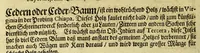 An illustration from Neu-eingerichtete Material-Kammer: : das ist, Gründliche Beschreibung aller fürnehmsten Materialien und Specereyen, so wohl auch andrer guter und gemeiner Waaren, woher solche den Ursprung nehmen, wie sie zu erkennen, gut zu behalten, und endlich die Prob derselben darauf zu machen, umb zu sehen, ob solche verfälscht und wie die Verfälschung darinnen zu mercken sey. Samt einer Erklärung: der chimischen, medicinischen, metallinischen, mineralischen und andere Characteren, was nehmlich solche für Bedeutungen insich halten. Wobey angehängt ein aussführlicher Bericht des Walfisch-Fanges in der nordischen Landen, dessgleichen niemals also in Teutscher Sprach beschrieben worden; und hernach eine kurtze Revision oder Wiederholung meines in An. 1662. aussgegangenen Buchhaltens, darinnen nicht allein meist alle Puncten besser erklärt und erläutert; sondern auch an vielen Orten vermehret, dazu ein und anders, welches vorhero nicht also beschrieben gewesen, anjetzo aber besser und deutlicher vorgestellet wird. Zuvor niemals also in Druck ausgegangen. Allen Liebhabern der Handlungen und Kauffmannschafften zum besten, mit guten Nutz und Frommen eingerichtet (1672)