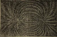 An illustration from Neueste Anschauungen über Elektricität (1896)