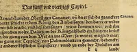 An illustration from Neue Welt : das ist, warhafftige Beschreibunge aller schönen Historien von Erfindung viler vnbekanten Königreichen, Landschafften, Insulen vnnd Stedten ... Dergleichen vorhin in Keinen Chronicken beschrieben ... zur Fürderung des gemeinen Nutzes zusamen getragen. (1567)