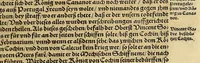 An illustration from Neue Welt : das ist, warhafftige Beschreibunge aller schönen Historien von Erfindung viler vnbekanten Königreichen, Landschafften, Insulen vnnd Stedten ... Dergleichen vorhin in Keinen Chronicken beschrieben ... zur Fürderung des gemeinen Nutzes zusamen getragen. (1567)