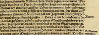 An illustration from Neue Welt : das ist, warhafftige Beschreibunge aller schönen Historien von Erfindung viler vnbekanten Königreichen, Landschafften, Insulen vnnd Stedten ... Dergleichen vorhin in Keinen Chronicken beschrieben ... zur Fürderung des gemeinen Nutzes zusamen getragen. (1567)