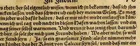 An illustration from Neue Welt : das ist, warhafftige Beschreibunge aller schönen Historien von Erfindung viler vnbekanten Königreichen, Landschafften, Insulen vnnd Stedten ... Dergleichen vorhin in Keinen Chronicken beschrieben ... zur Fürderung des gemeinen Nutzes zusamen getragen. (1567)