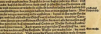 Picture 17 of 25 from Neue Welt : das ist, warhafftige Beschreibunge aller schönen Historien von Erfindung viler vnbekanten Königreichen, Landschafften, Insulen vnnd Stedten ... Dergleichen vorhin in Keinen Chronicken beschrieben ... zur Fürderung des gemeinen Nutzes zusamen getragen. (1567), leaf 167