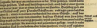 An illustration from Neue Welt : das ist, warhafftige Beschreibunge aller schönen Historien von Erfindung viler vnbekanten Königreichen, Landschafften, Insulen vnnd Stedten ... Dergleichen vorhin in Keinen Chronicken beschrieben ... zur Fürderung des gemeinen Nutzes zusamen getragen. (1567)