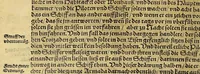 An illustration from Neue Welt : das ist, warhafftige Beschreibunge aller schönen Historien von Erfindung viler vnbekanten Königreichen, Landschafften, Insulen vnnd Stedten ... Dergleichen vorhin in Keinen Chronicken beschrieben ... zur Fürderung des gemeinen Nutzes zusamen getragen. (1567)