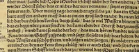 Picture 21 of 25 from Neue Welt : das ist, warhafftige Beschreibunge aller schönen Historien von Erfindung viler vnbekanten Königreichen, Landschafften, Insulen vnnd Stedten ... Dergleichen vorhin in Keinen Chronicken beschrieben ... zur Fürderung des gemeinen Nutzes zusamen getragen. (1567), leaf 224