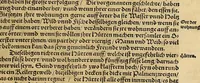 An illustration from Neue Welt : das ist, warhafftige Beschreibunge aller schönen Historien von Erfindung viler vnbekanten Königreichen, Landschafften, Insulen vnnd Stedten ... Dergleichen vorhin in Keinen Chronicken beschrieben ... zur Fürderung des gemeinen Nutzes zusamen getragen. (1567)