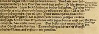 An illustration from Neue Welt : das ist, warhafftige Beschreibunge aller schönen Historien von Erfindung viler vnbekanten Königreichen, Landschafften, Insulen vnnd Stedten ... Dergleichen vorhin in Keinen Chronicken beschrieben ... zur Fürderung des gemeinen Nutzes zusamen getragen. (1567)