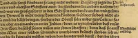 An illustration from Neue Welt : das ist, warhafftige Beschreibunge aller schönen Historien von Erfindung viler vnbekanten Königreichen, Landschafften, Insulen vnnd Stedten ... Dergleichen vorhin in Keinen Chronicken beschrieben ... zur Fürderung des gemeinen Nutzes zusamen getragen. (1567)