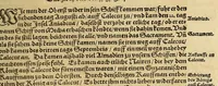 An illustration from Neue Welt : das ist, warhafftige Beschreibunge aller schönen Historien von Erfindung viler vnbekanten Königreichen, Landschafften, Insulen vnnd Stedten ... Dergleichen vorhin in Keinen Chronicken beschrieben ... zur Fürderung des gemeinen Nutzes zusamen getragen. (1567)