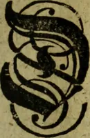 An illustration from Neu hervorkommendes Weber Kunst und Bild Buch (1736)