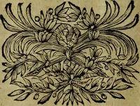 An illustration from Neu hervorkommendes Weber Kunst und Bild Buch (1736)