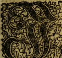 An illustration from Neu hervorkommendes Weber Kunst und Bild Buch (1736)